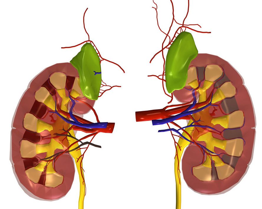 点击图片进入下一页